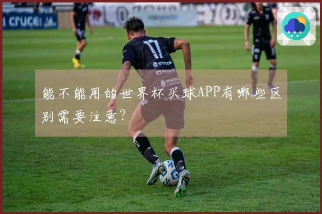 能不能用的世界杯买球APP有哪些区别需要注意？