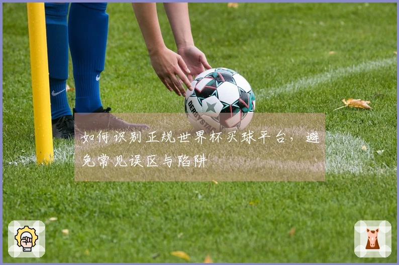 如何识别正规世界杯买球平台，避免常见误区与陷阱