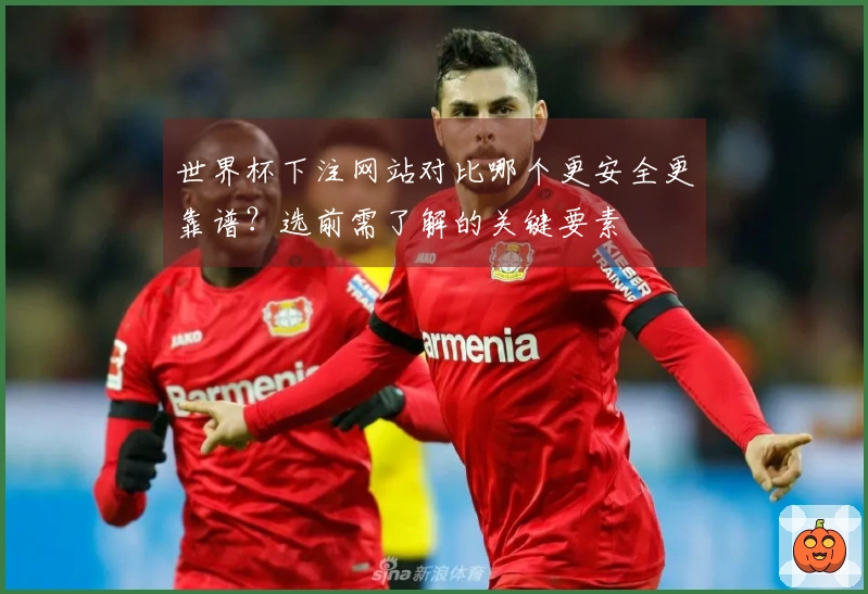 世界杯下注网站对比哪个更安全更靠谱？选前需了解的关键要素