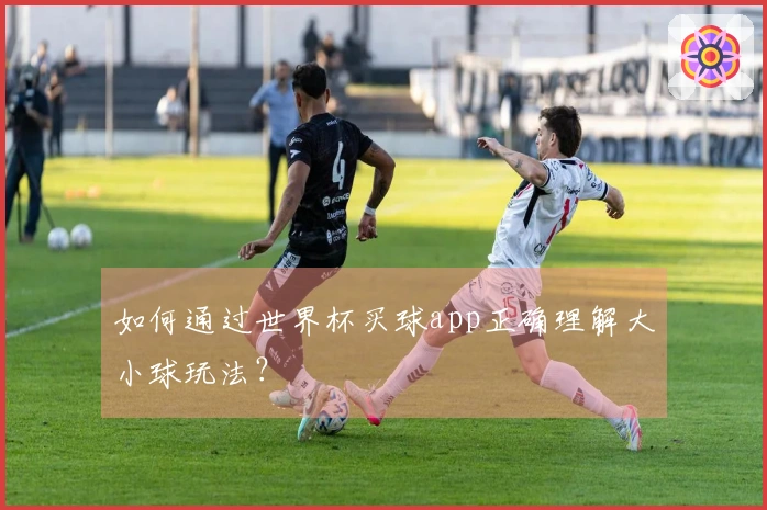 如何通过世界杯买球app正确理解大小球玩法？