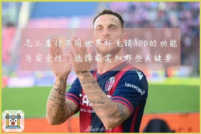 怎么看待不同世界杯竞猜App的功能与安全性？选择前需知哪些关键要素？