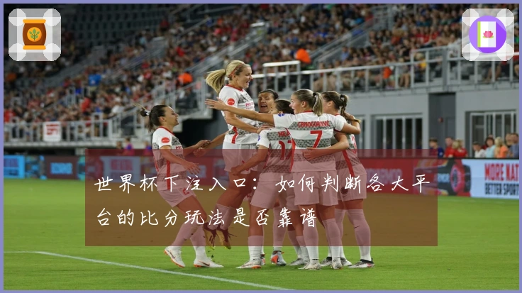 世界杯下注入口：如何判断各大平台的比分玩法是否靠谱