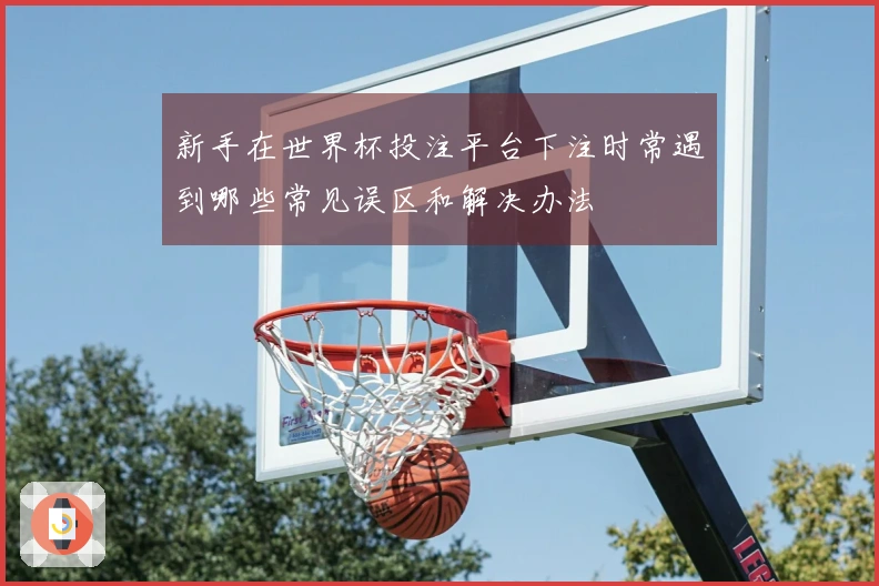 新手在世界杯投注平台下注时常遇到哪些常见误区和解决办法