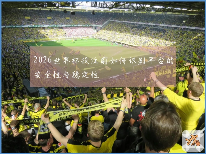 2026世界杯投注前如何识别平台的安全性与稳定性