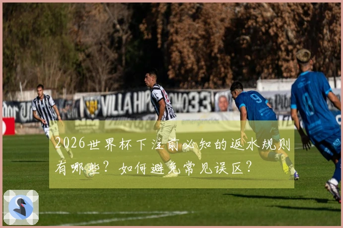 2026世界杯下注前必知的返水规则有哪些？如何避免常见误区？