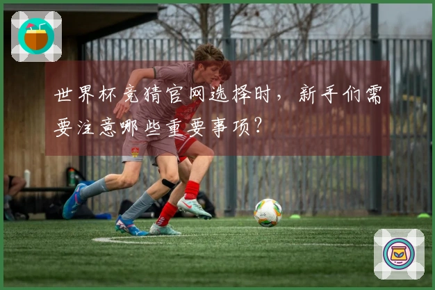 世界杯竞猜官网选择时，新手们需要注意哪些重要事项？