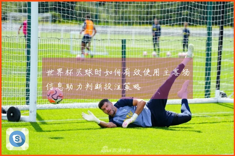 世界杯买球时如何有效使用主客场信息助力判断投注策略