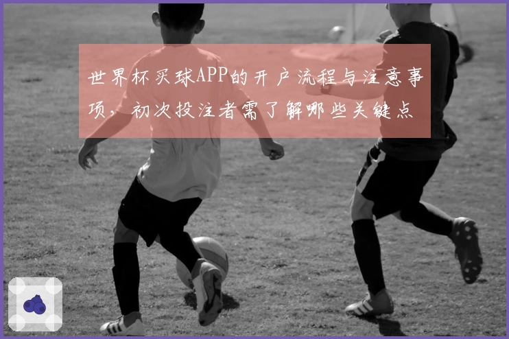 世界杯买球APP的开户流程与注意事项，初次投注者需了解哪些关键点