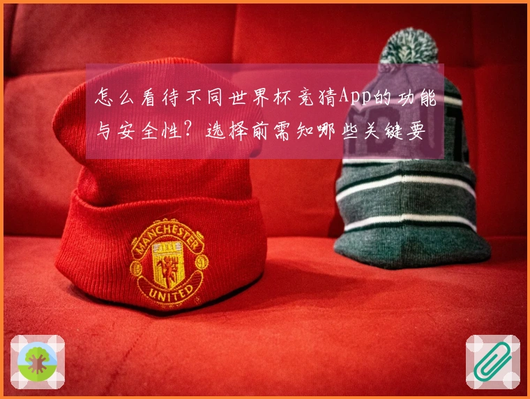 怎么看待不同世界杯竞猜App的功能与安全性？选择前需知哪些关键要素？