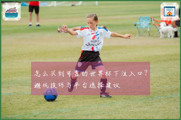 怎么买到可靠的世界杯下注入口？避坑技巧与平台选择建议