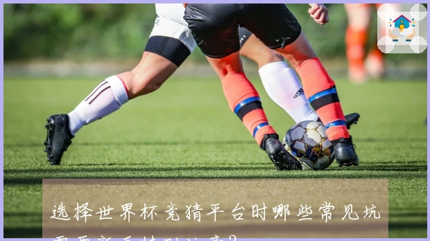 选择世界杯竞猜平台时哪些常见坑需要新手特别注意？