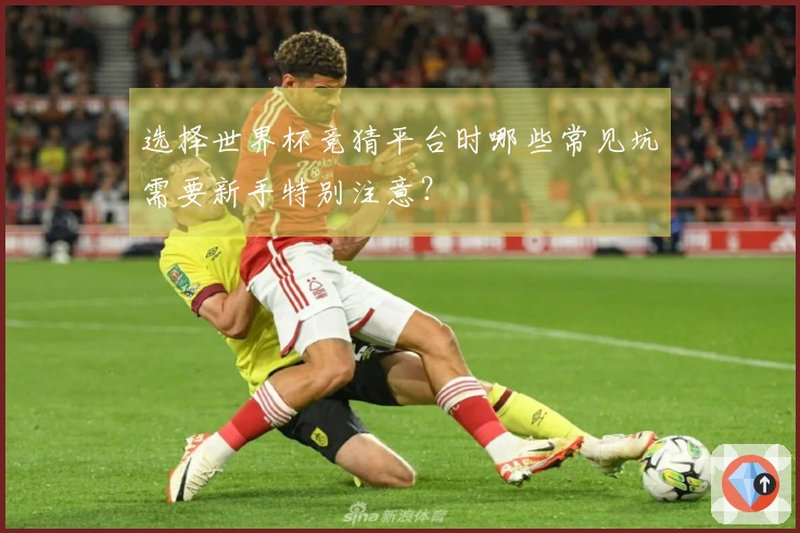 选择世界杯竞猜平台时哪些常见坑需要新手特别注意？